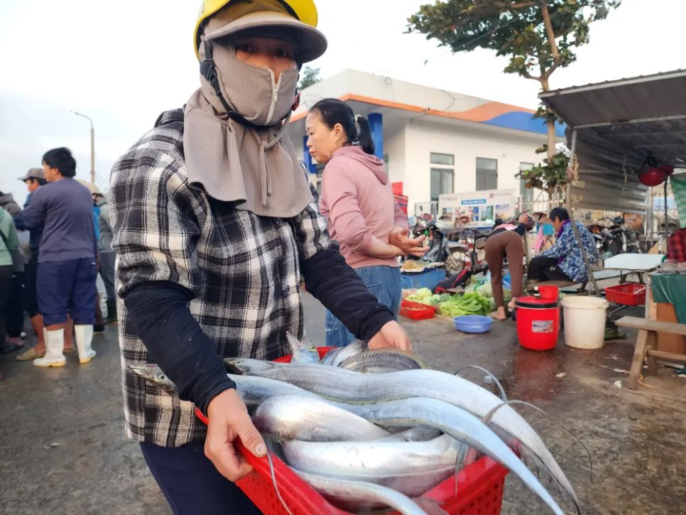 Ngư dân miền Trung vươn khơi trúng 