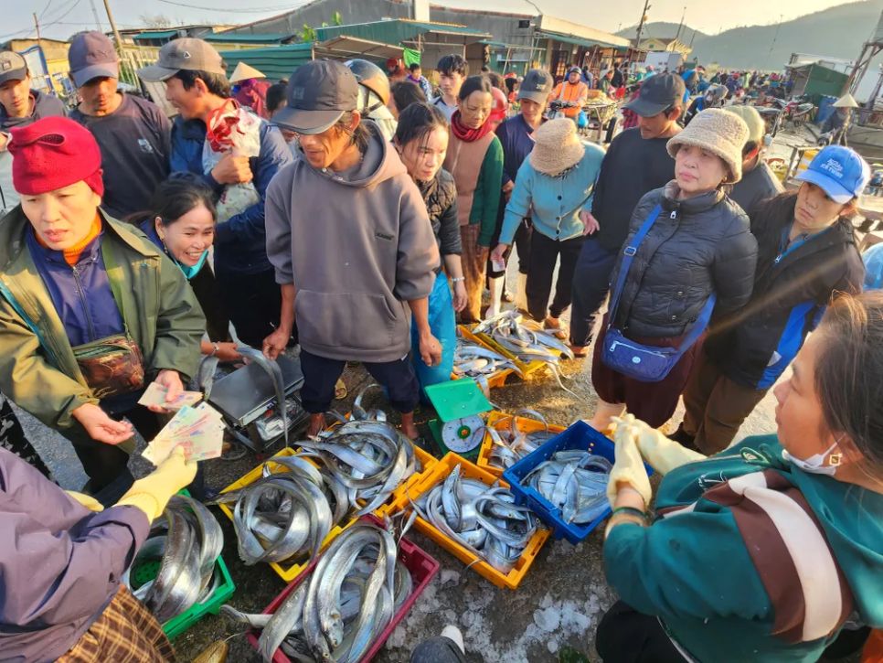 Ngư dân miền Trung vươn khơi trúng 