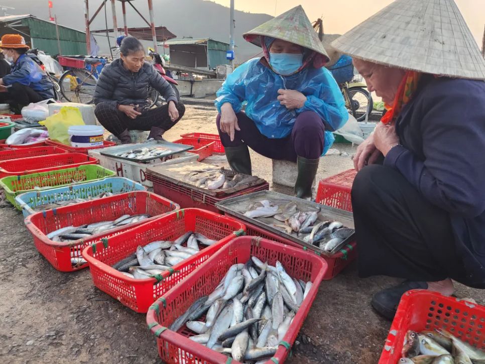 Ngư dân miền Trung vươn khơi trúng 