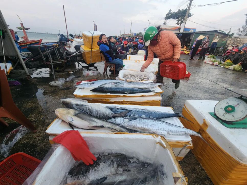 Ngư dân miền Trung vươn khơi trúng 