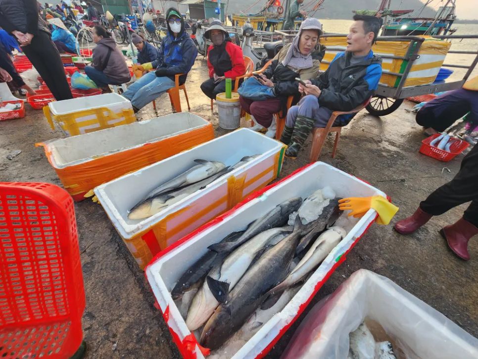 Ngư dân miền Trung vươn khơi trúng 