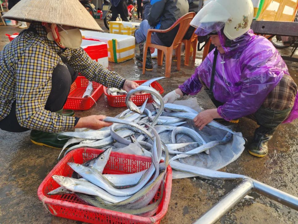 Ngư dân miền Trung vươn khơi trúng 