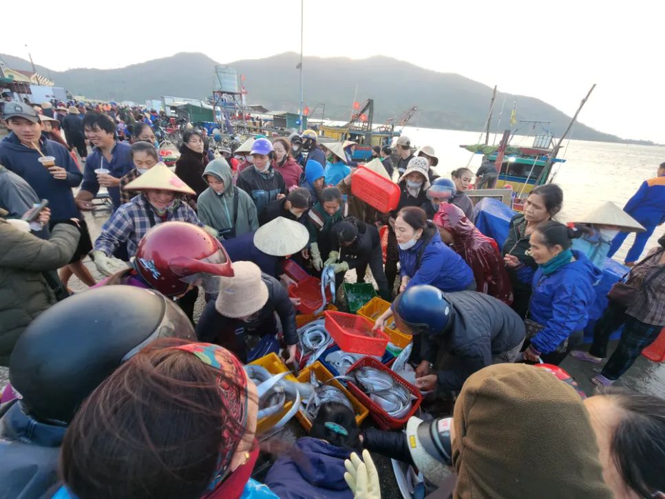 Ngư dân miền Trung vươn khơi trúng 