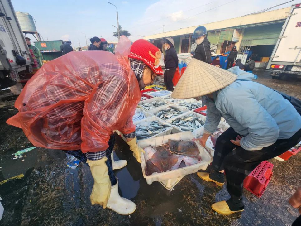 Ngư dân miền Trung vươn khơi trúng 