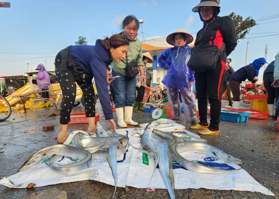Ngư dân miền Trung vươn khơi trúng 