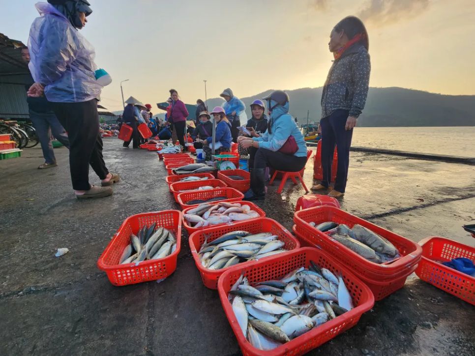 Ngư dân miền Trung vươn khơi trúng 