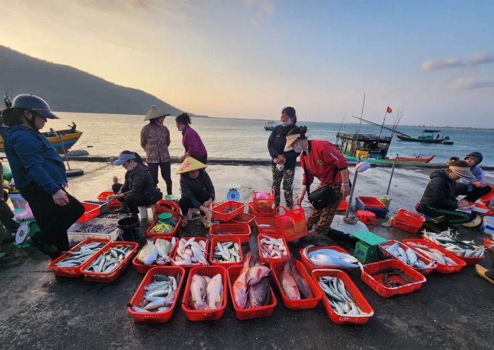 Nhiều loại hải sản tươi ngon được đưa vào cảng cá Cửa Sót để tiêu thụ