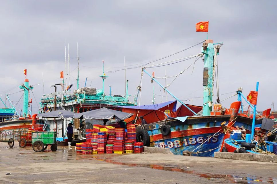 Tàu cá của gia đình ông Nguyễn Thi trở về cập cảng bán cá