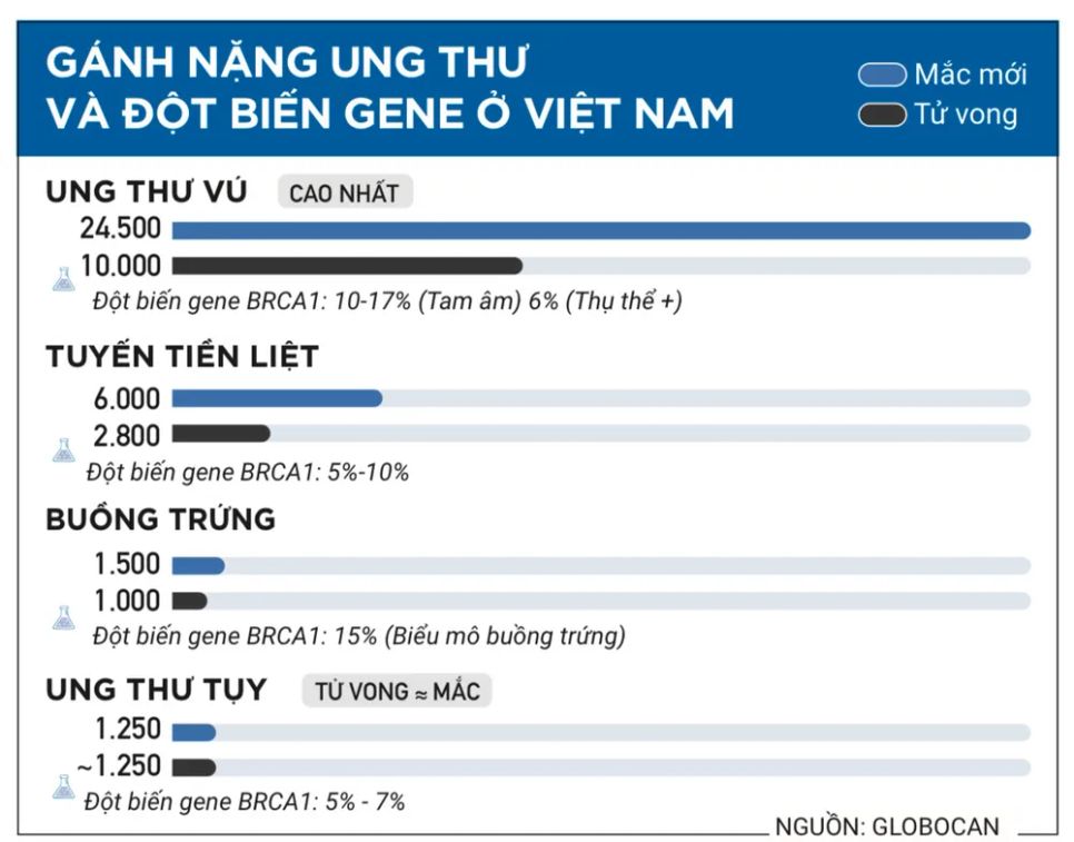 Hiểu gene - giảm nguy cơ ung thư Hiểu gene - giảm nguy cơ ung thư