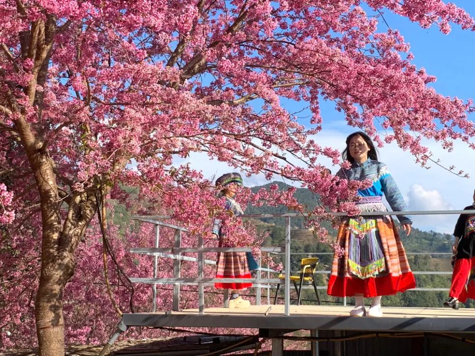 Hoa nở là lúc nhiều người tranh thủ ghi lại khoảnh khắc đẹp bên hoa