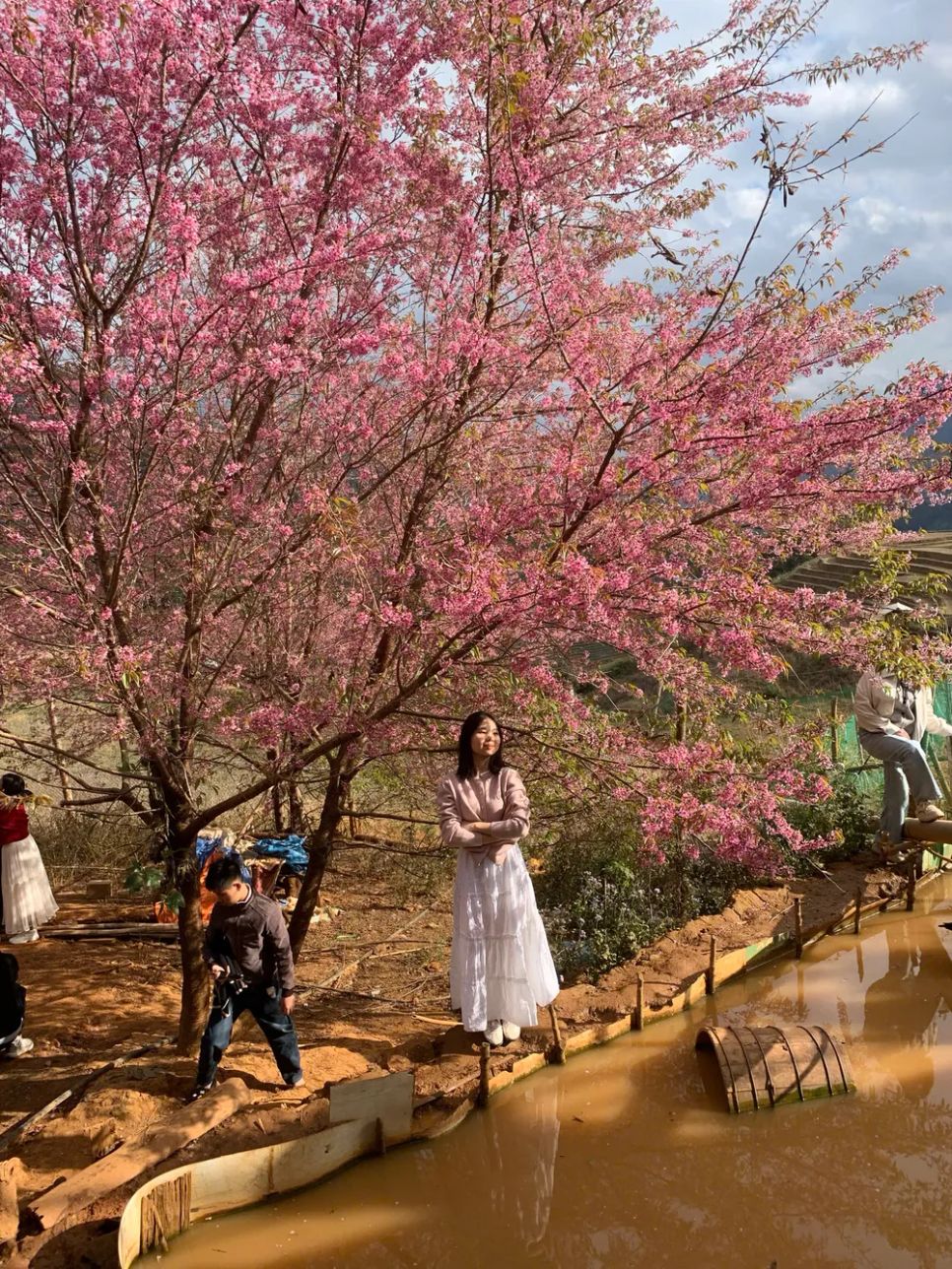 Lễ hội Hoa Tớ Dày và các hoạt động chào xuân 2026