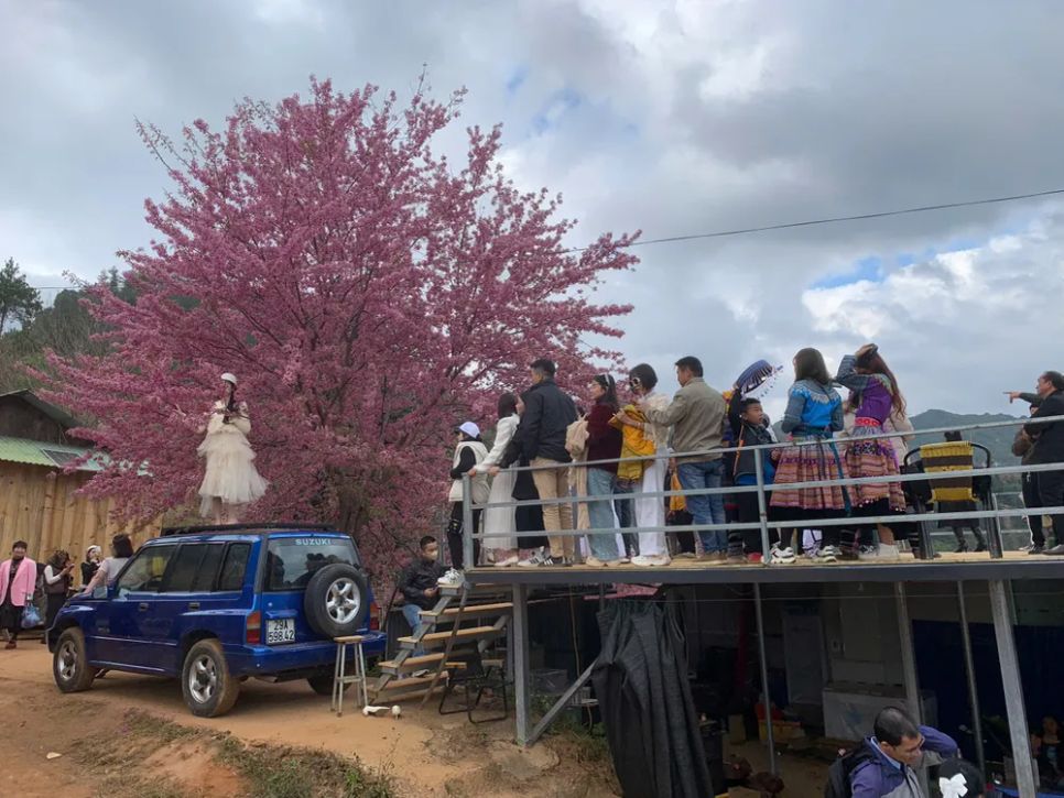 Lễ hội Hoa Tớ Dày và các hoạt động chào xuân 2026