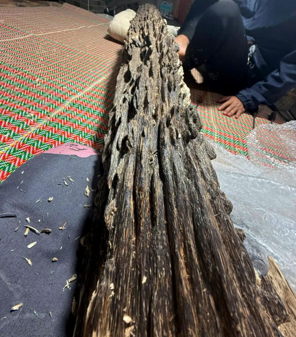 Một gia đình ở Hà Tĩnh sở hữu khối gỗ trầm quý hiếm