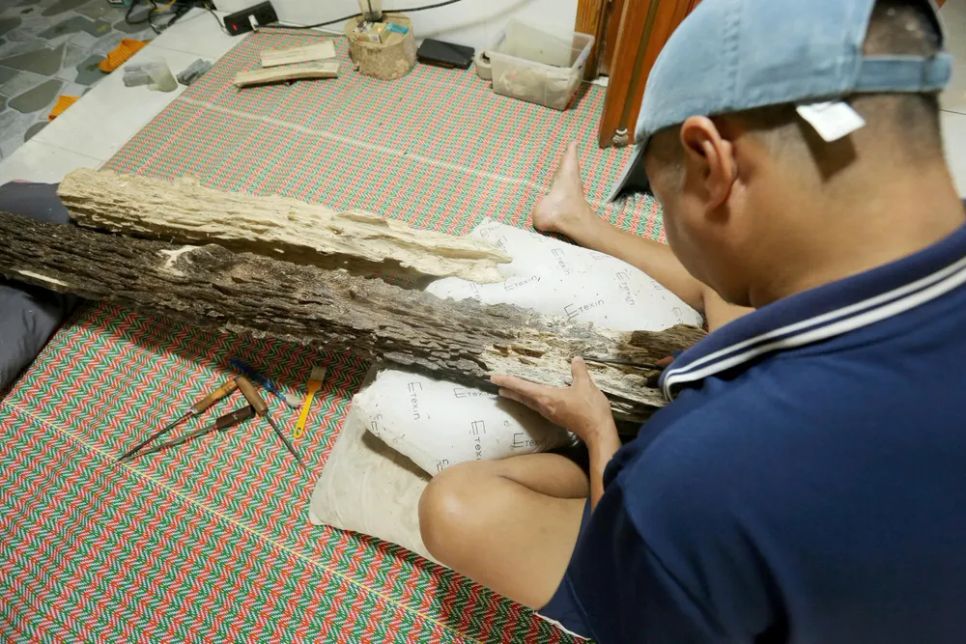 Một gia đình ở Hà Tĩnh sở hữu khối gỗ trầm quý hiếm