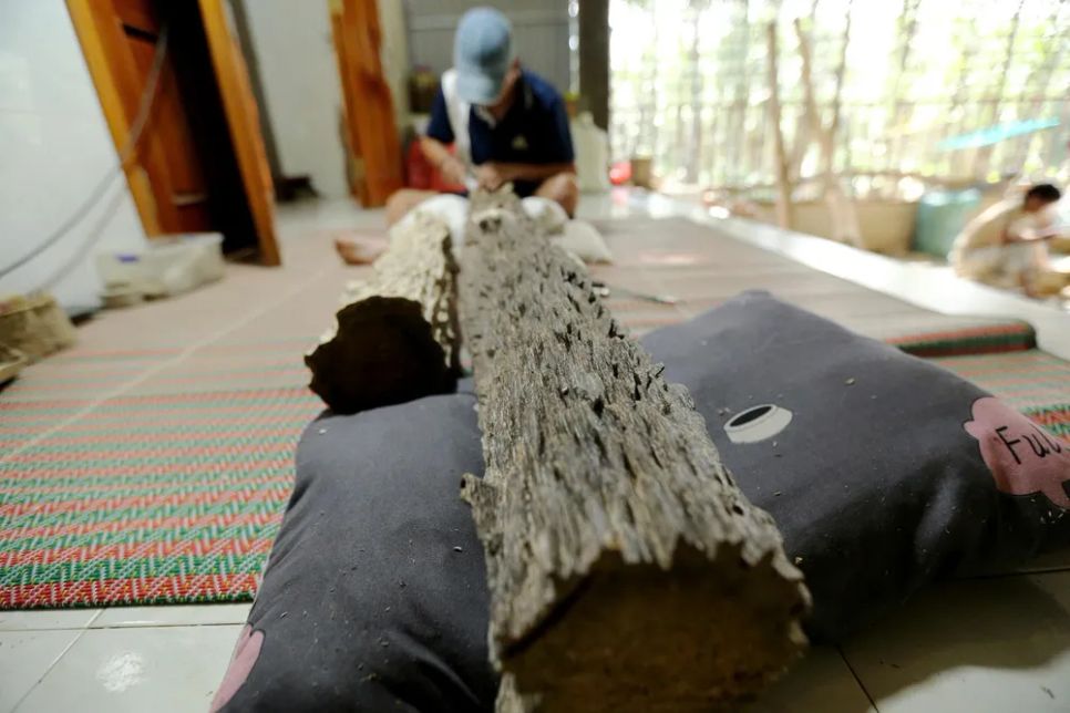Một gia đình ở Hà Tĩnh sở hữu khối gỗ trầm quý hiếm