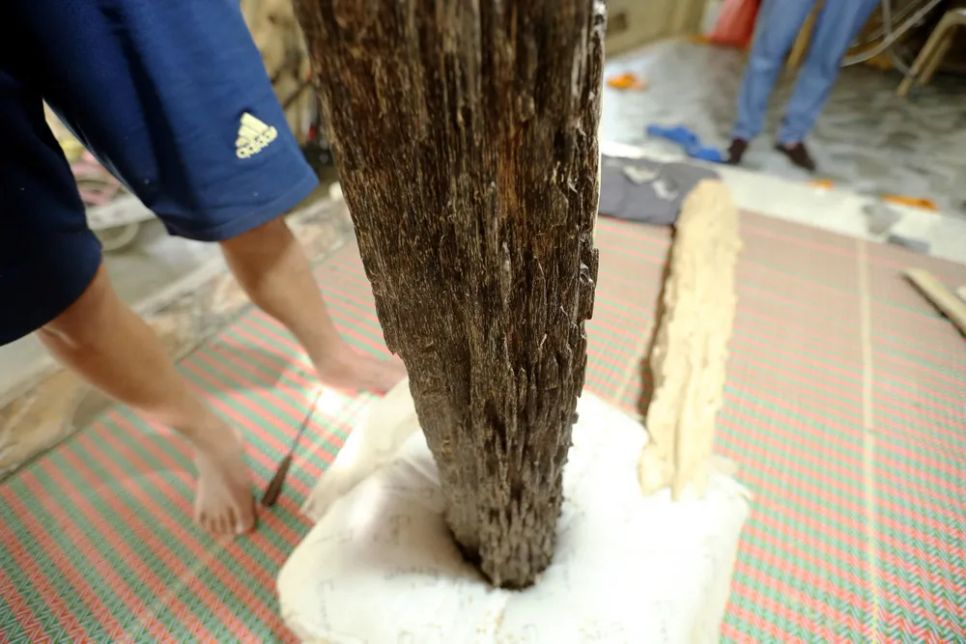 Một gia đình ở Hà Tĩnh sở hữu khối gỗ trầm quý hiếm