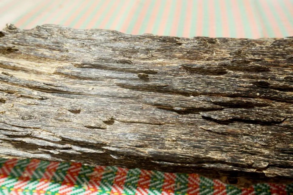 Một gia đình ở Hà Tĩnh sở hữu khối gỗ trầm quý hiếm