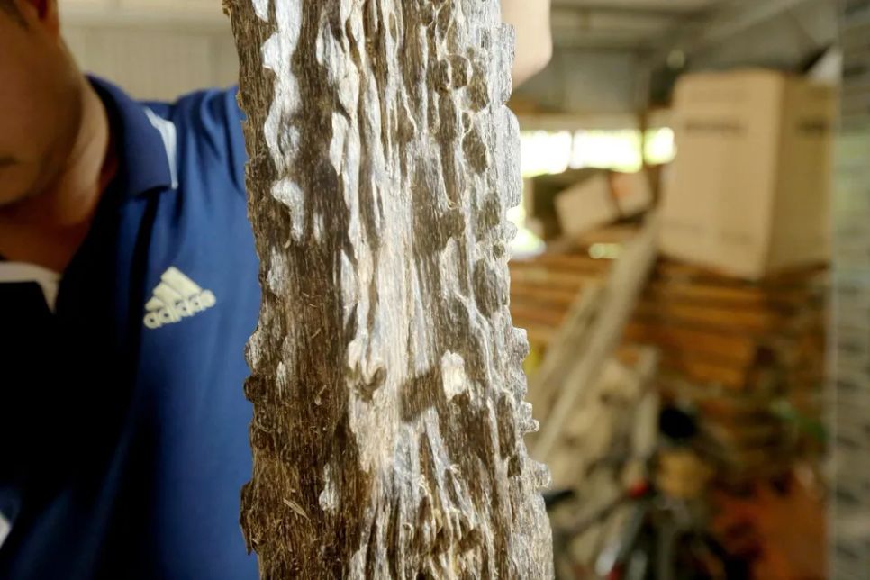 Một gia đình ở Hà Tĩnh sở hữu khối gỗ trầm quý hiếm