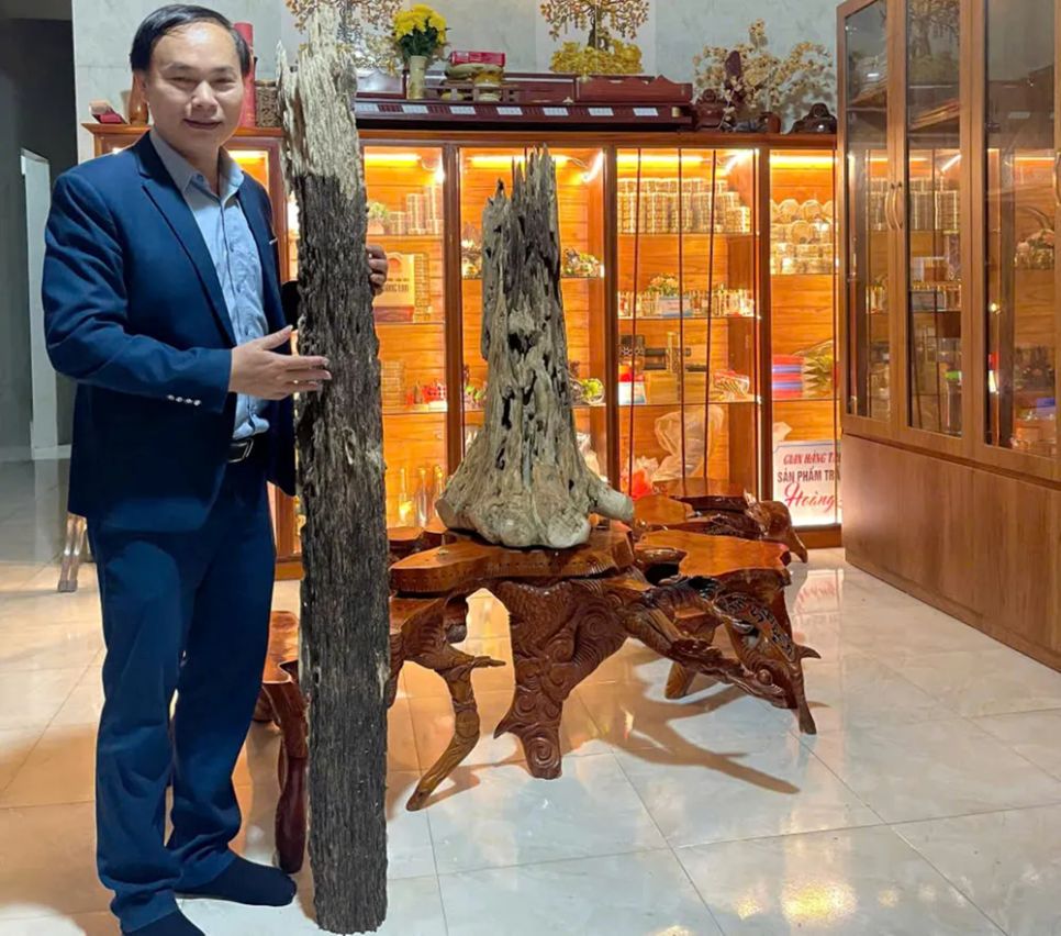 Ông Phan Quốc Thanh, Phó Chủ tịch UBND xã Phúc Trạch bên khối gỗ trầm tốc bông quý hiếm