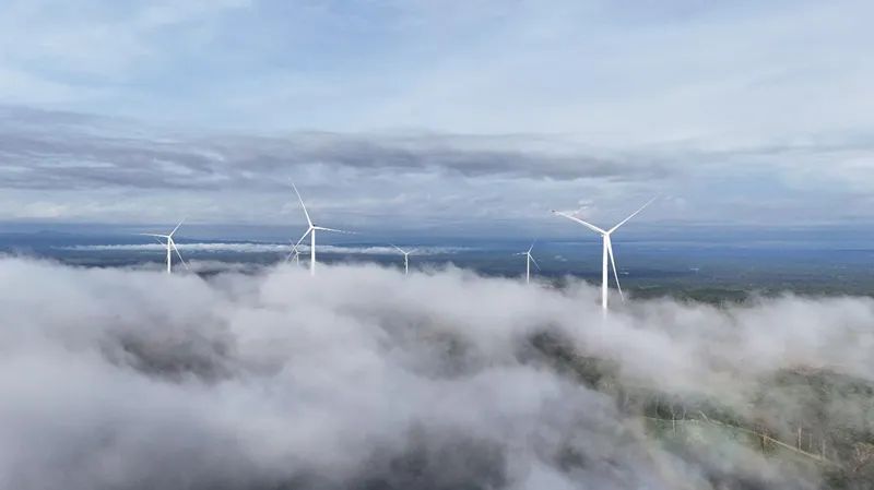 Mốc vận hành Thương mại của Savan 1 trở thành thước đo quan trọng nhất để đánh giá hiệu quả thực chất của một dự án.