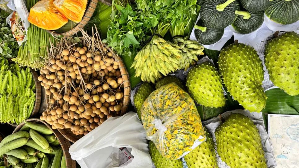 Sức sống mới trên cù lao Tân Thuận Đông