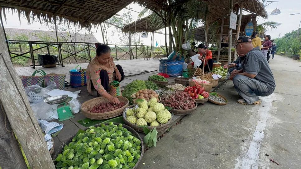Sức sống mới trên cù lao Tân Thuận Đông