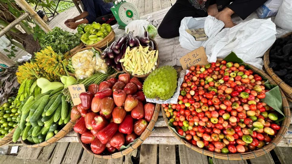 Sức sống mới trên cù lao Tân Thuận Đông