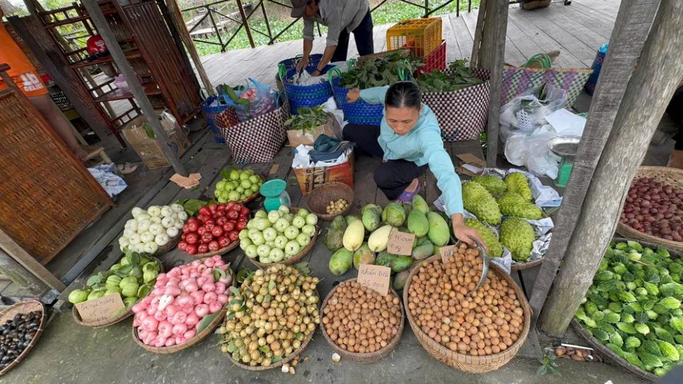 Sức sống mới trên cù lao Tân Thuận Đông