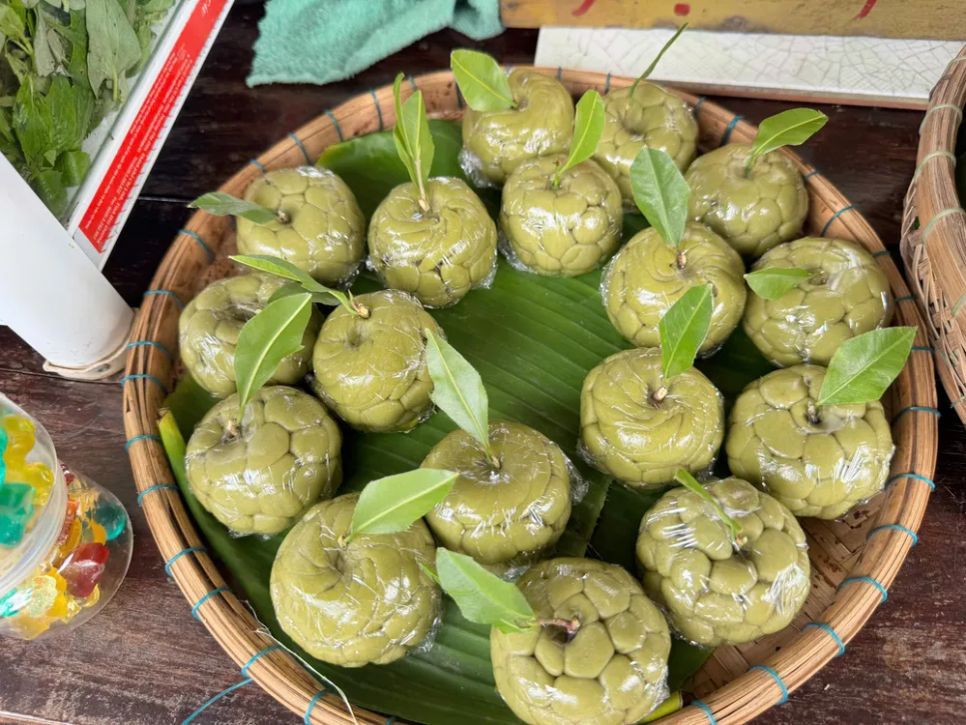 Sức sống mới trên cù lao Tân Thuận Đông