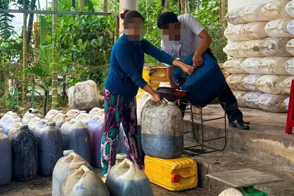 Ông K. khai nhận đã thu mua dầu ăn, mỡ heo đã qua sử dụng từ các cơ sở kinh doanh ăn uống, lò quay heo để bán lại kiếm lời