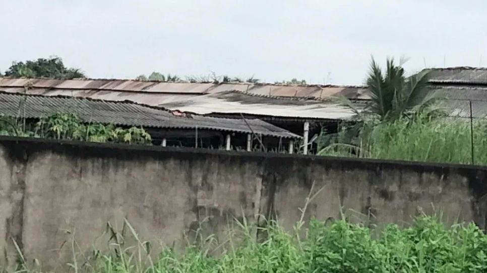 Trại gà B.H nằm trong khu dân cư, bốc mùi hôi thối sẽ bị dừng hoạt động