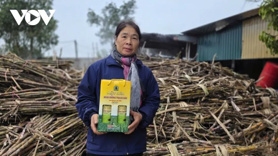 <p>​Nhằm nâng cao giá trị và khẳng định uy tín cho sản phẩm địa phương, UBND xã Thạch Bình đã giao Hội Liên hiệp Phụ nữ phối hợp với các ban ngành hướng dẫn các hộ sản xuất tuân thủ nghiêm ngặt quy trình an toàn vệ sinh thực phẩm. Sự quan tâm sát sao của chính quyền cùng các chính sách khuyến khích phát triển nghề truyền thống đã tạo điều kiện thuận lợi để người dân yên tâm giữ nghề. </p>