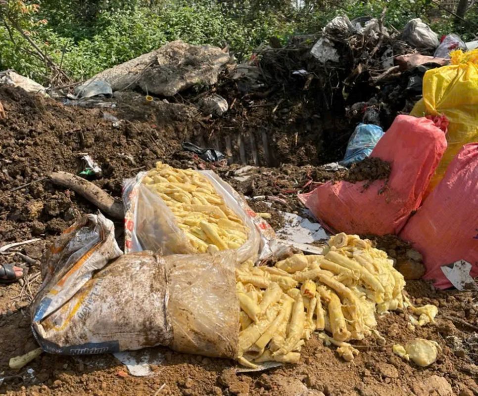 Phát hiện hàng tấn da heo, măng tươi không rõ nguồn gốc, xuất xứ Phát hiện hàng tấn da heo, măng tươi không rõ nguồn gốc, xuất xứ