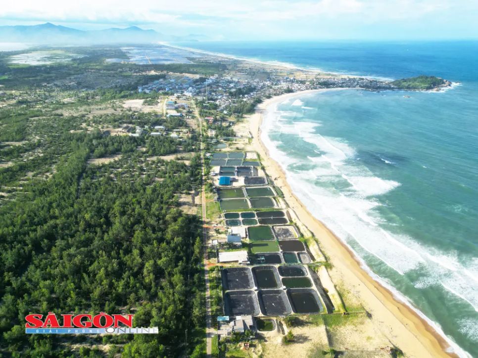 Tỉnh Gia Lai đang phát triển vùng động lực công nghiệp kết hợp cảng biển nước sâu mới ở phía Đông - Bắc thuộc xã Phù Mỹ Đông Tỉnh Gia Lai đang phát triển vùng động lực công nghiệp kết hợp cảng biển nước sâu mới ở phía Đông - Bắc thuộc xã Phù Mỹ Đông