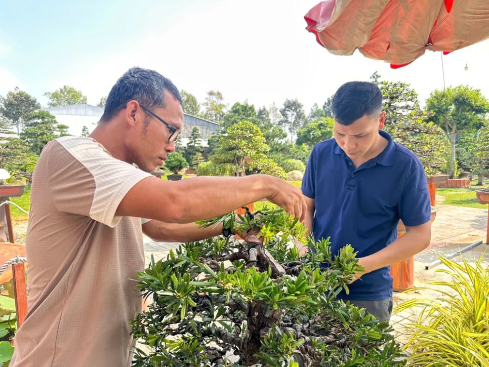 Nhộn nhịp mùa “làm đẹp” hoa kiểng phục vụ thị trường tết