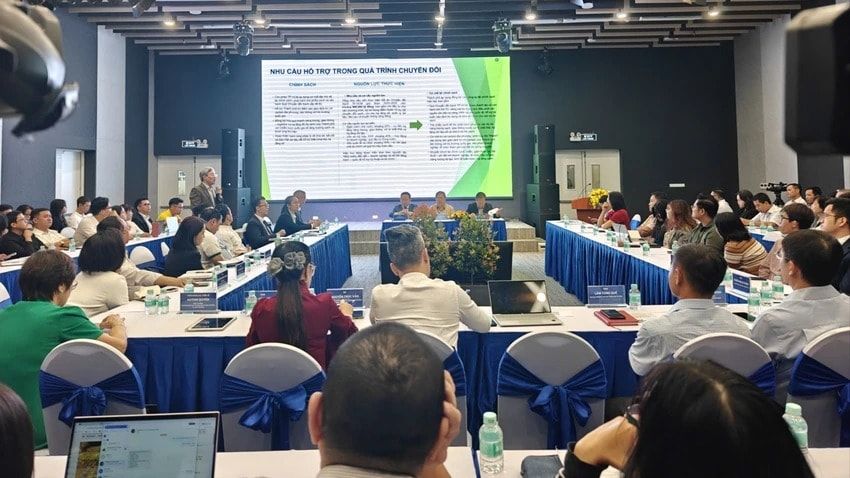 Ngày 16/1, Viện Nghiên cứu Phát triển TP.HCM tổ chức hội thảo “Thúc đẩy tài chính xanh và sàn giao dịch tín chỉ carbon trong Trung tâm tài chính quốc tế” tại Trung tâm Khởi nghiệp sáng tạo TP.HCM (SIHUB)