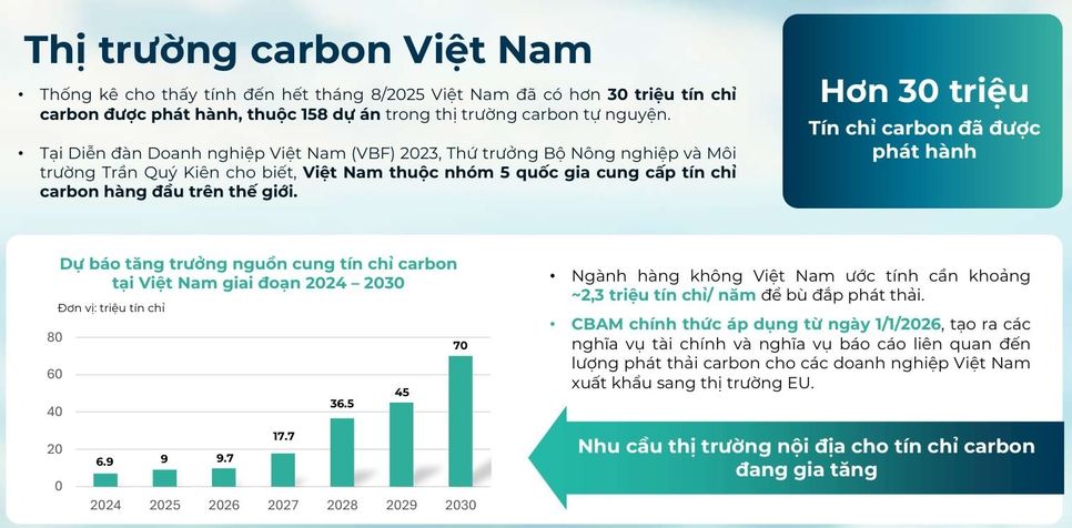 Tổng quan thị trường carbon Việt Nam. Ảnh chụp màn hình
