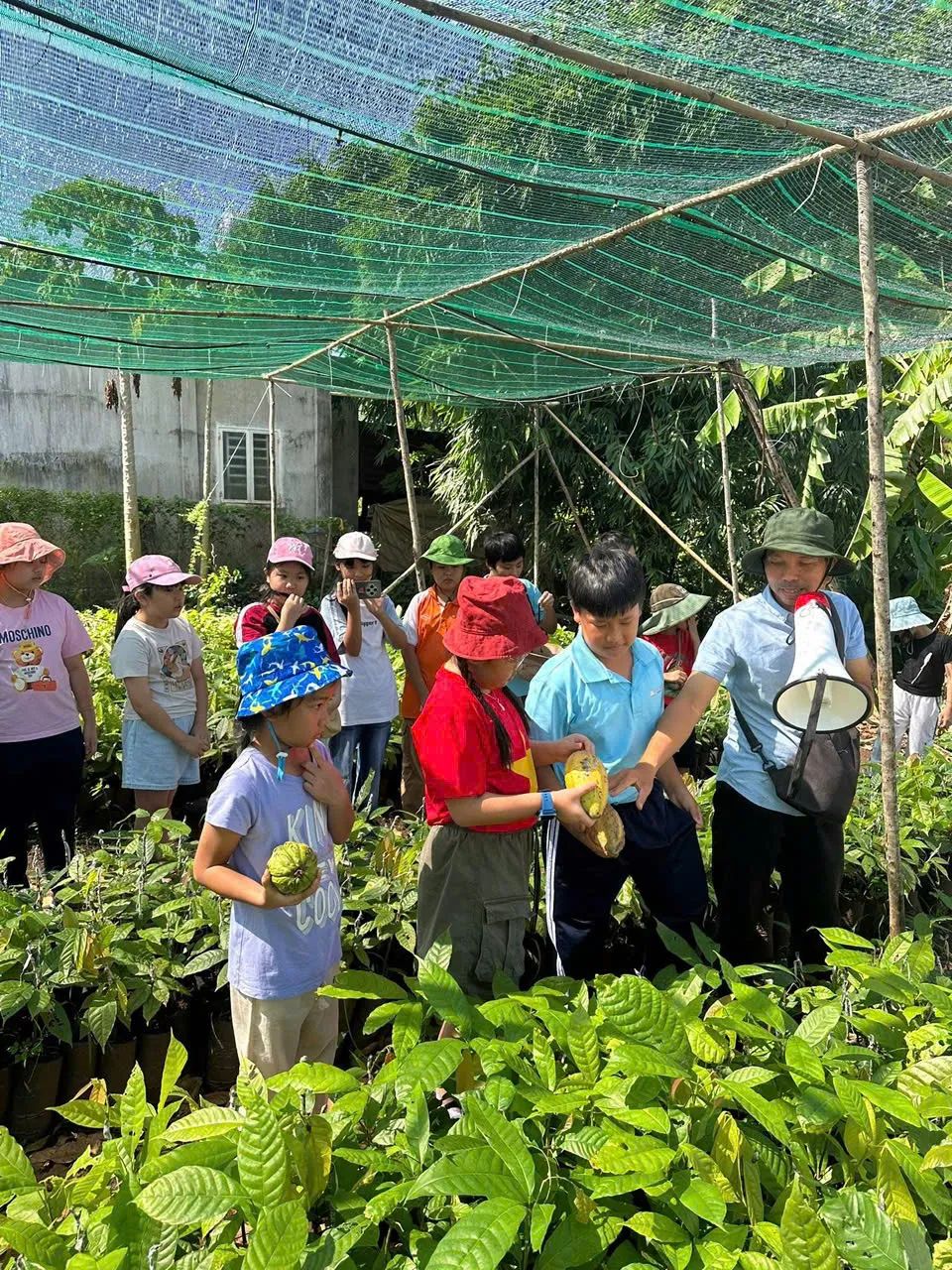 Học sinh ở xã Bình Giã, TPHCM tham quan vườn ca cao của Công ty OCA Việt Nhật