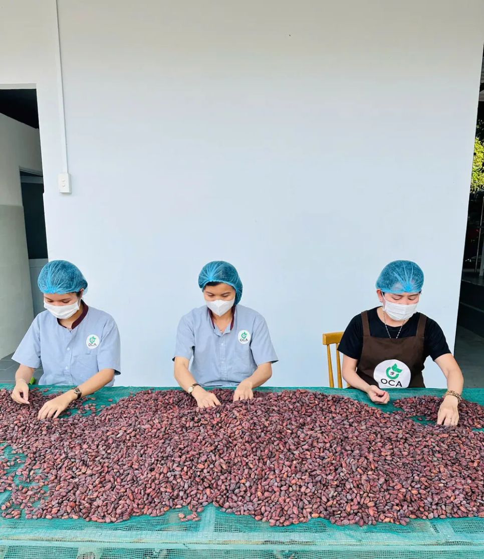 Nhân viên Công ty OCA Việt Nhật (do chị Nguyễn Thị Thu làm <span style=