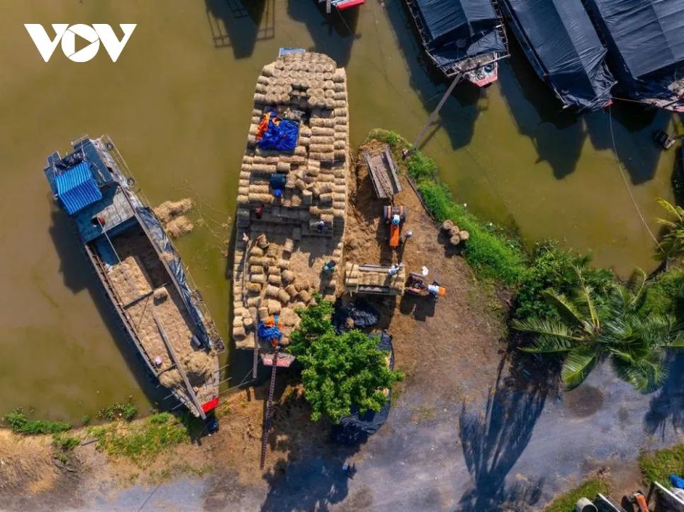 <p>Hình thành từ hàng chục năm trước bên cống đập Ba Lai, chợ rơm ra đời cùng sự phát triển mạnh của nghề nuôi bò ở Vĩnh Long. Khi rơm rạ trong vùng không đủ đáp ứng, nơi đây dần trở thành điểm trung chuyển rơm lớn nhất khu vực, gắn bó mật thiết với sinh kế của người chăn nuôi.</p>