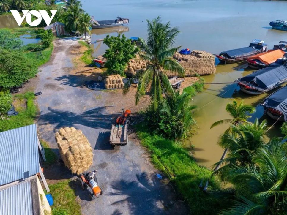 <p>Những chuyến xe chở đầy rơm rời bến trong ánh nắng cuối năm. Với người nuôi bò, đó không chỉ là những cuộn rơm, mà là sự bảo đảm cho đàn gia súc vượt qua mùa khô và một cái Tết yên tâm, đủ đầy.</p>