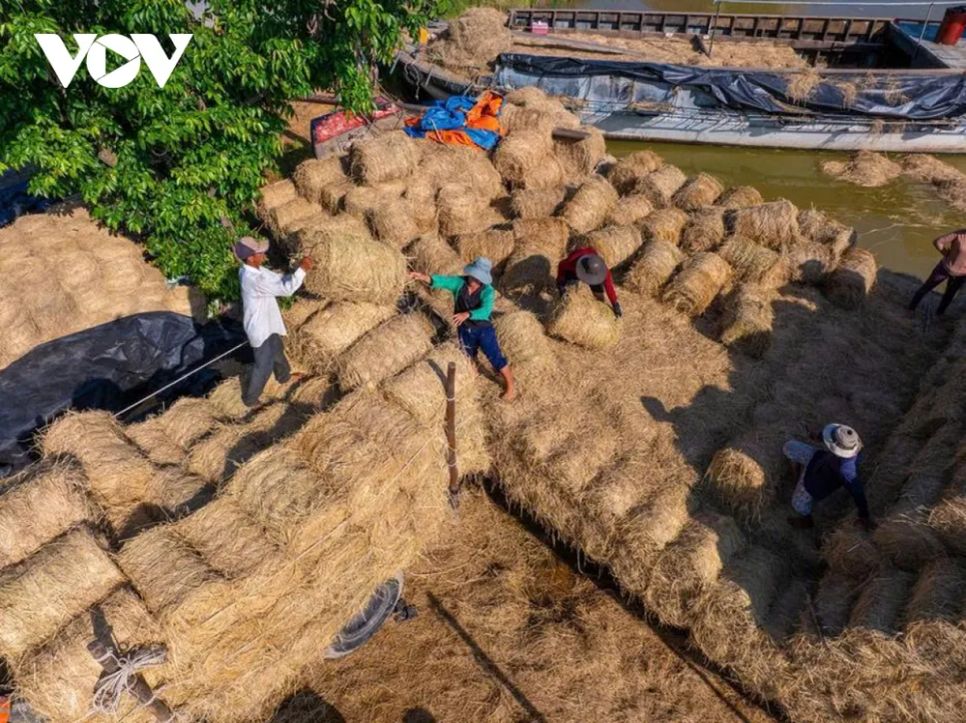 <p>Theo các chủ ghe lâu năm, chợ rơm Ba Lai từng chỉ là vài bến nhỏ ven sông, nay đã mở rộng thành cả một khu buôn bán nhộn nhịp. Trung bình mỗi ngày cao điểm có hàng chục ghe neo đậu, đáp ứng nhu cầu thức ăn cho hàng nghìn con bò trong vùng.</p>