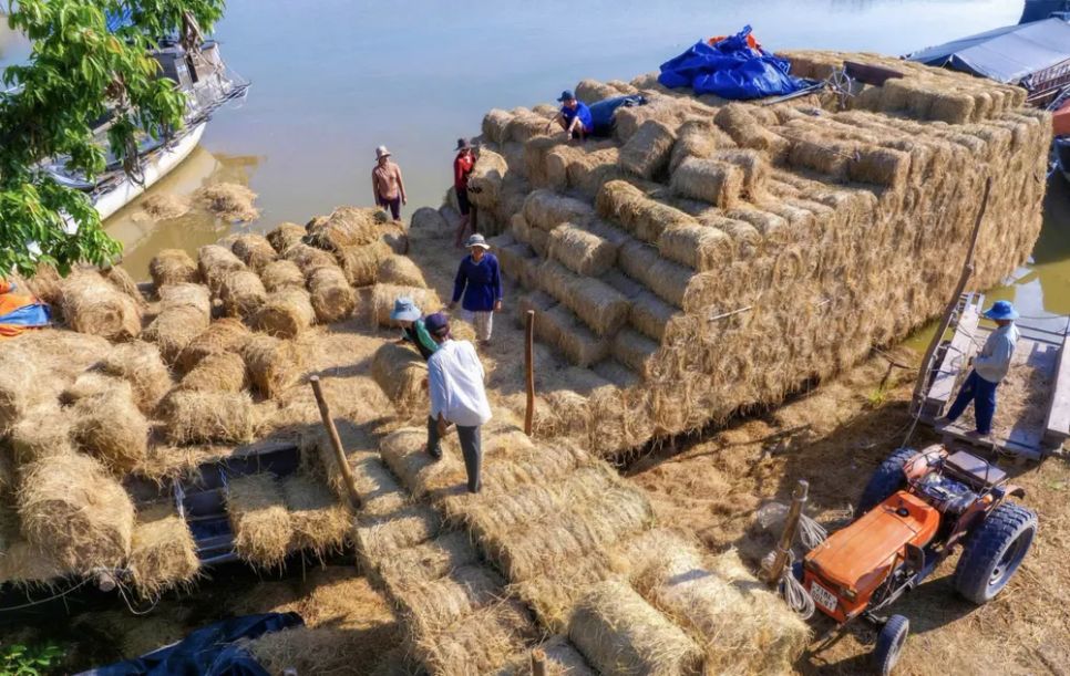 Chợ rơm mùa giáp tết