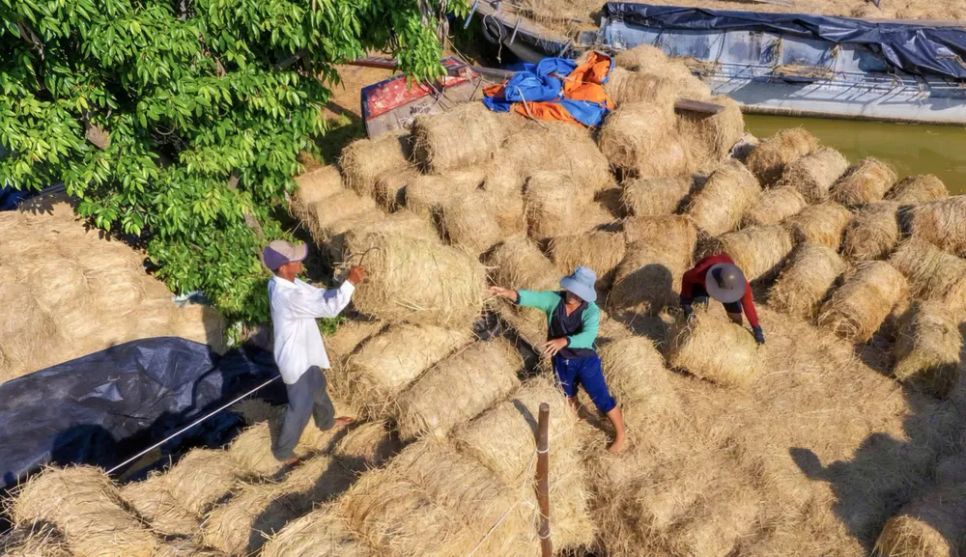 Chợ rơm mùa giáp tết