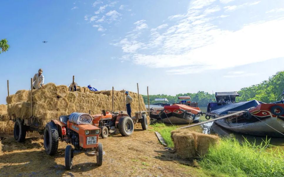 Chợ rơm mùa giáp tết