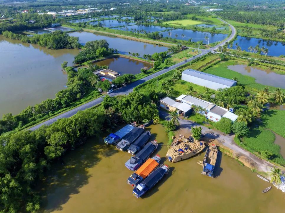 Điểm tập kết rơm tại chợ rơm Ba Lai nhìn từ trên cao. Ảnh: HUY TRẦN