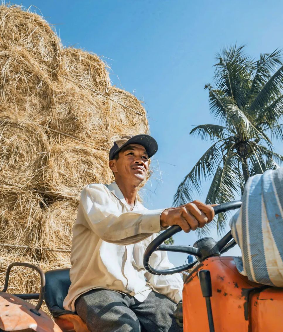 Rơm được quấn thành từng cuộn, được bà con dự trữ để làm thức ăn cho gia súc. Ảnh: HUY TRẦN