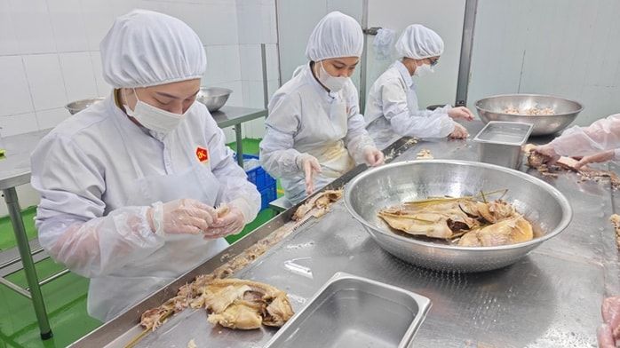 Cộng đồng doanh nghiệp TP.HCM đóng góp tích cực vào tăng trưởng chung của Thành phố