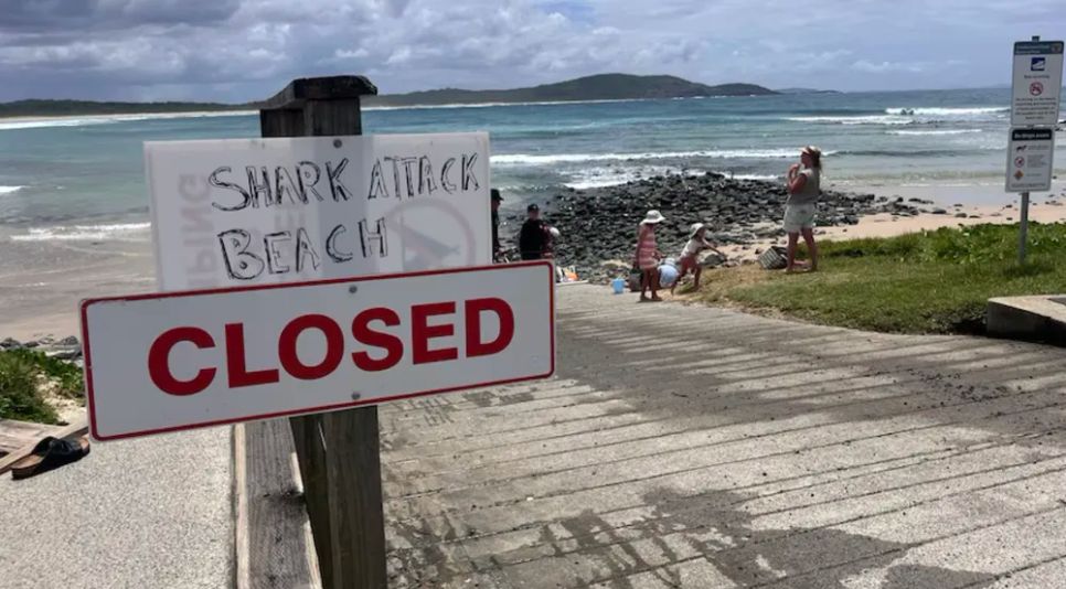 Biển hiệu cảnh báo cá mập. Ảnh : ABC News