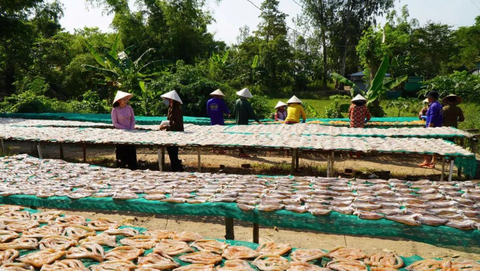 Làng cá khô miền Tây tất bật vào mùa Tết